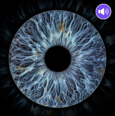 NFT Projecte IRIS DEL MON