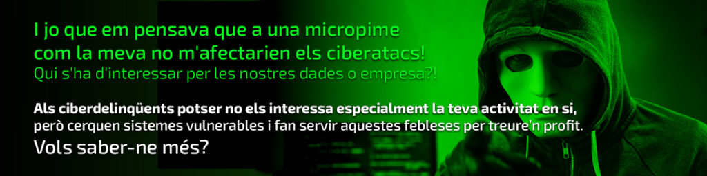 Ciberdelinqüents